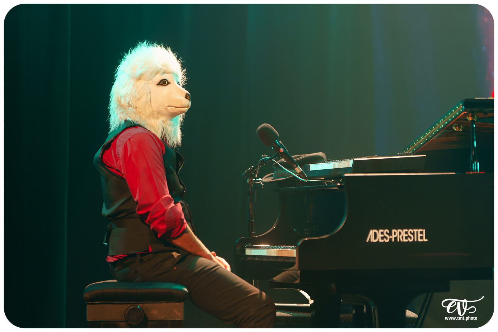 PLEIN FEU (CIE AVRIL EN SEPTEMBRE)